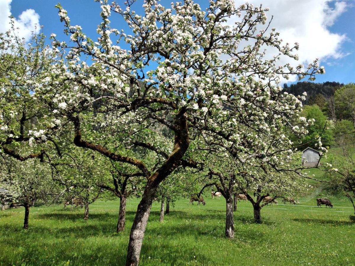 Appartamento Haus Brigitte Bad Hindelang Esterno foto